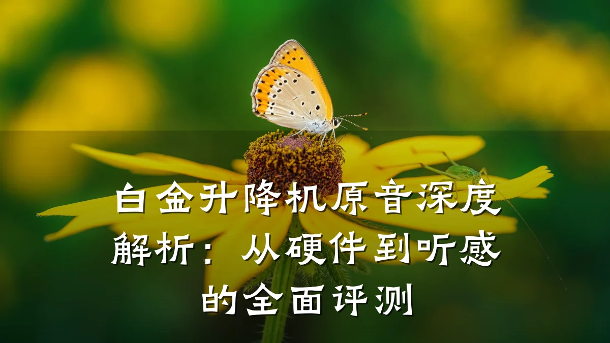 白金升降机原音深度解析：从硬件到听感的全面评测