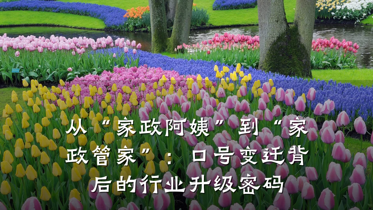 从“家政阿姨”到“家政管家”：口号变迁背后的行业升级密码