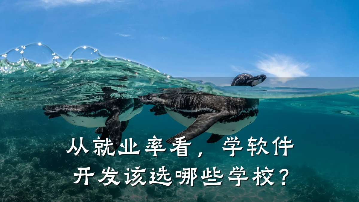 从就业率看,学软件开发该选哪些学校?