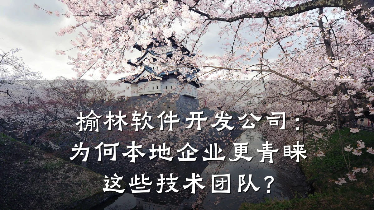 榆林软件开发公司：为何本地企业更青睐这些技术团队？