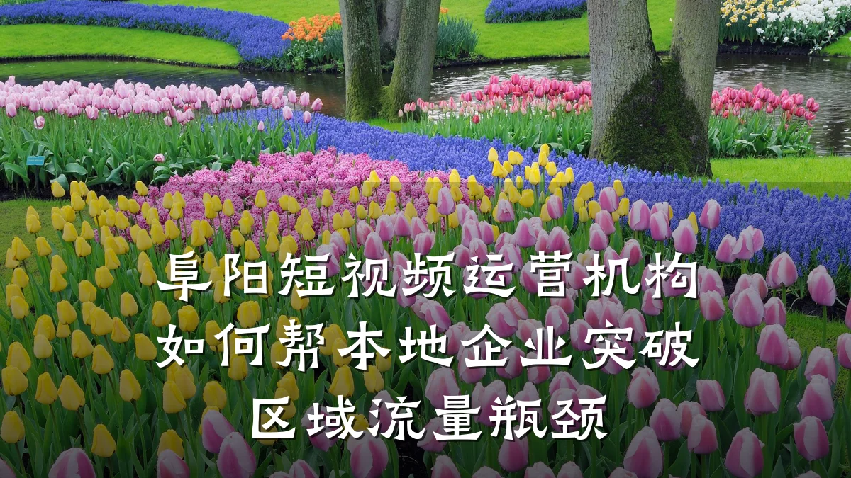 阜阳短视频运营机构如何帮本地企业突破区域流量瓶颈