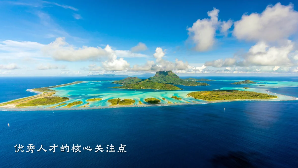 优秀人才的核心关注点