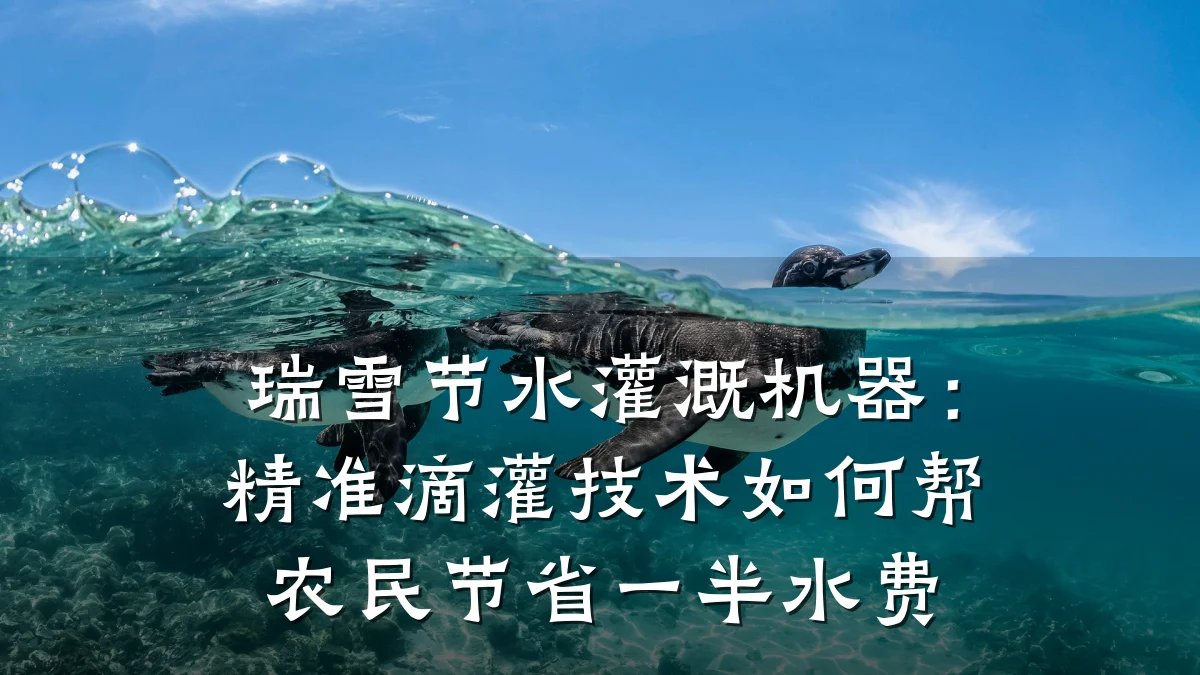 瑞雪节水灌溉机器:精准滴灌技术如何帮农民节省一半水费