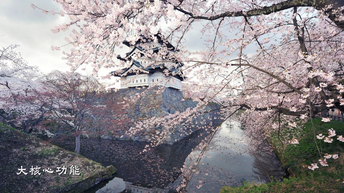 大核心功能