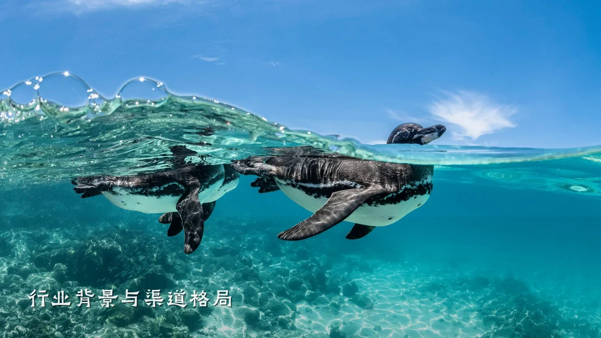 行业背景与渠道格局