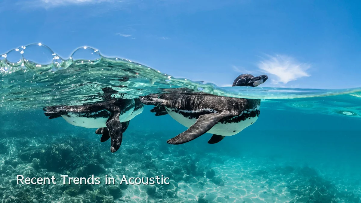 Recent Trends in Acoustic