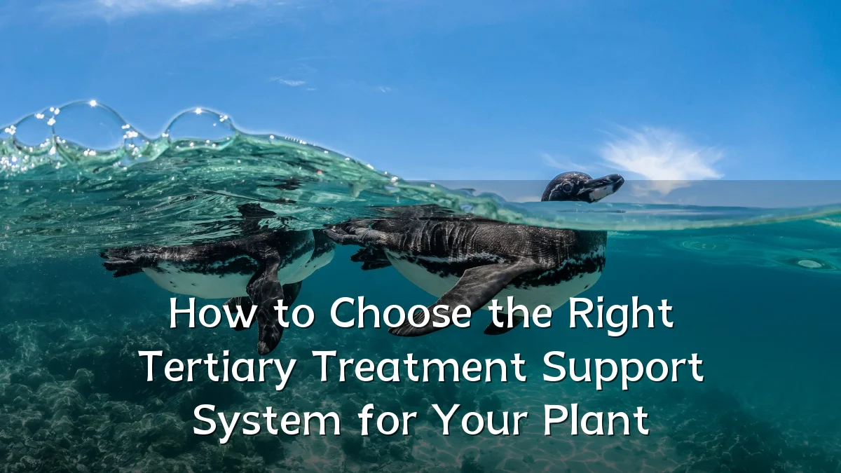 How to Choose the Right Tertiary Treatment Support System for Your Plant