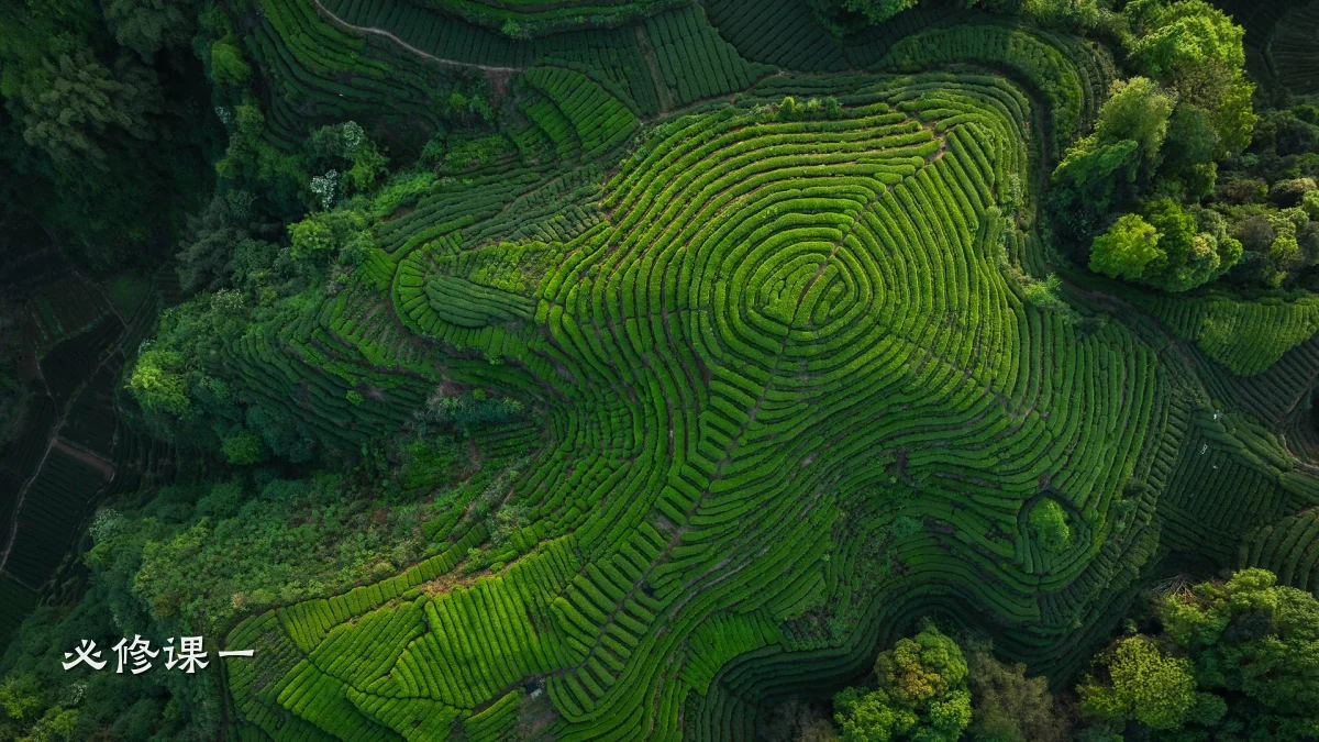必修课一