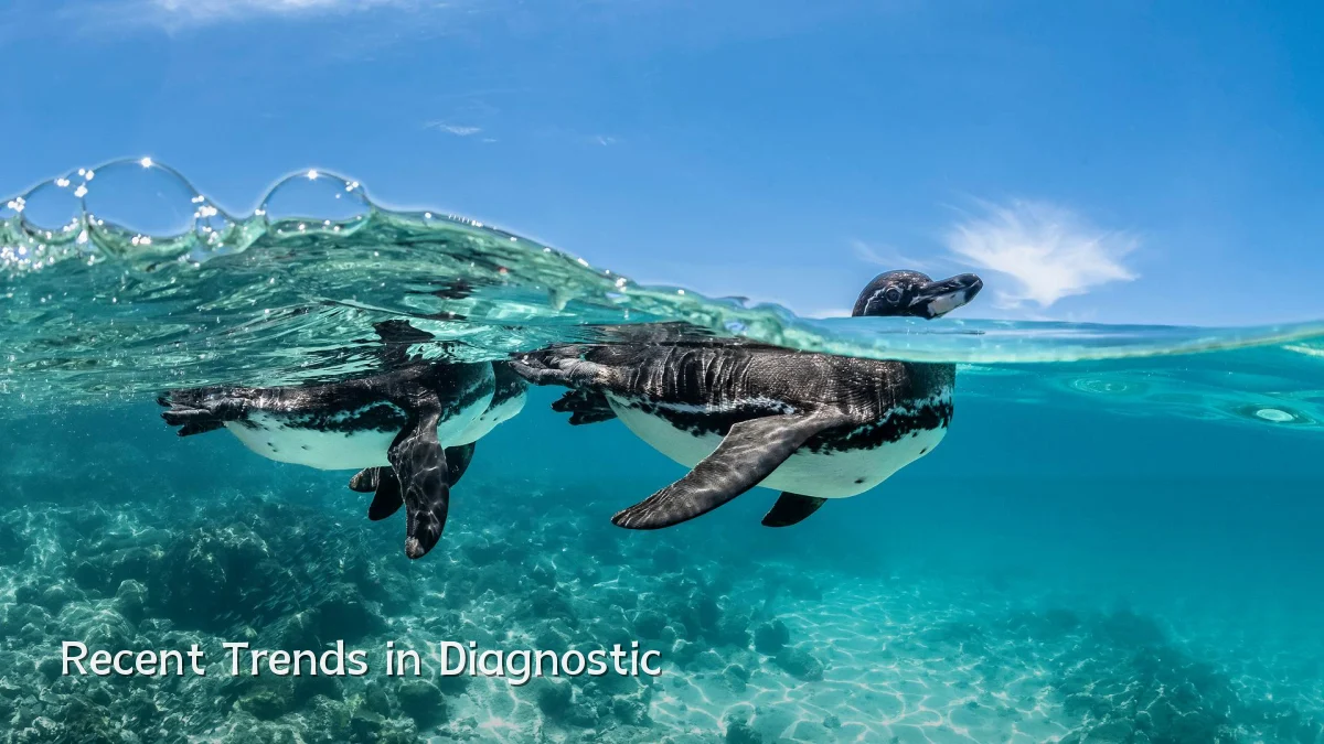 Recent Trends in Diagnostic