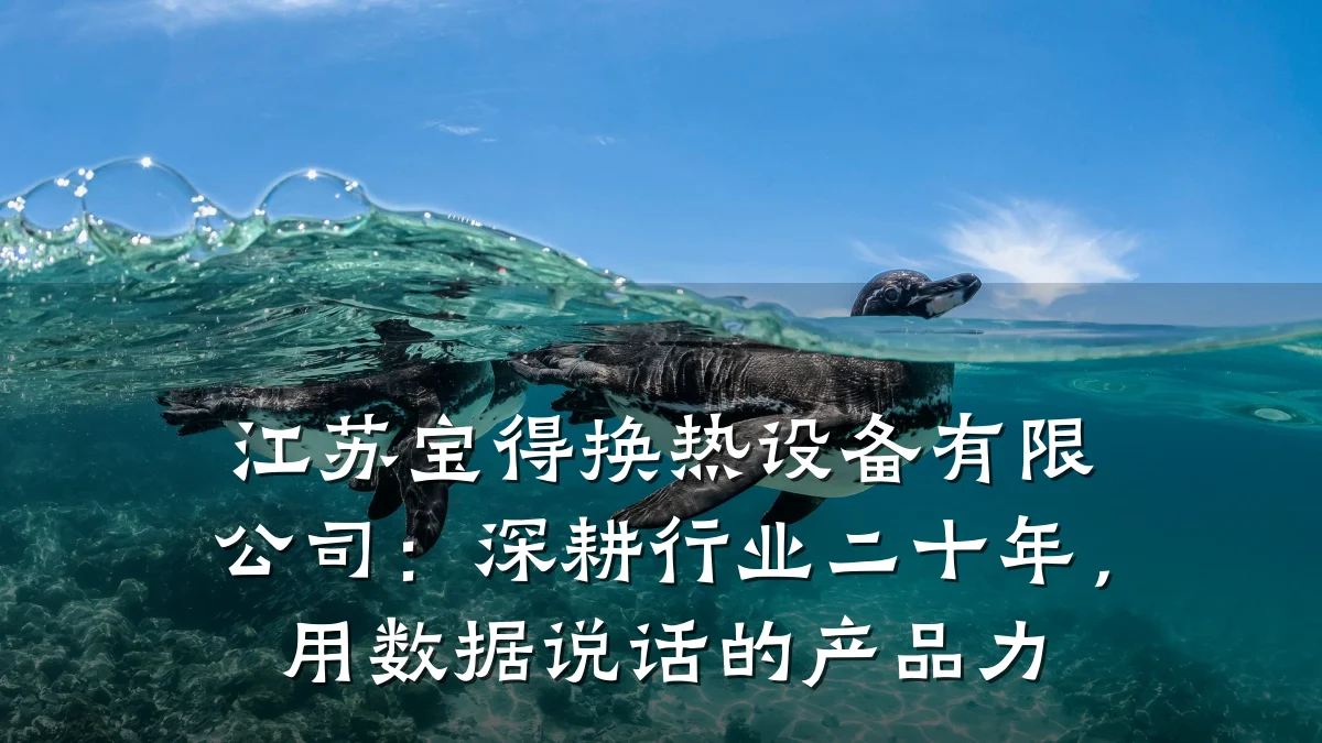 江苏宝得换热设备有限公司:深耕行业二十年,用数据说话的产品力