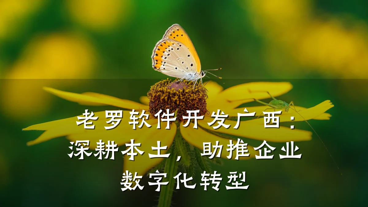 老罗软件开发广西:深耕本土,助推企业数字化转型