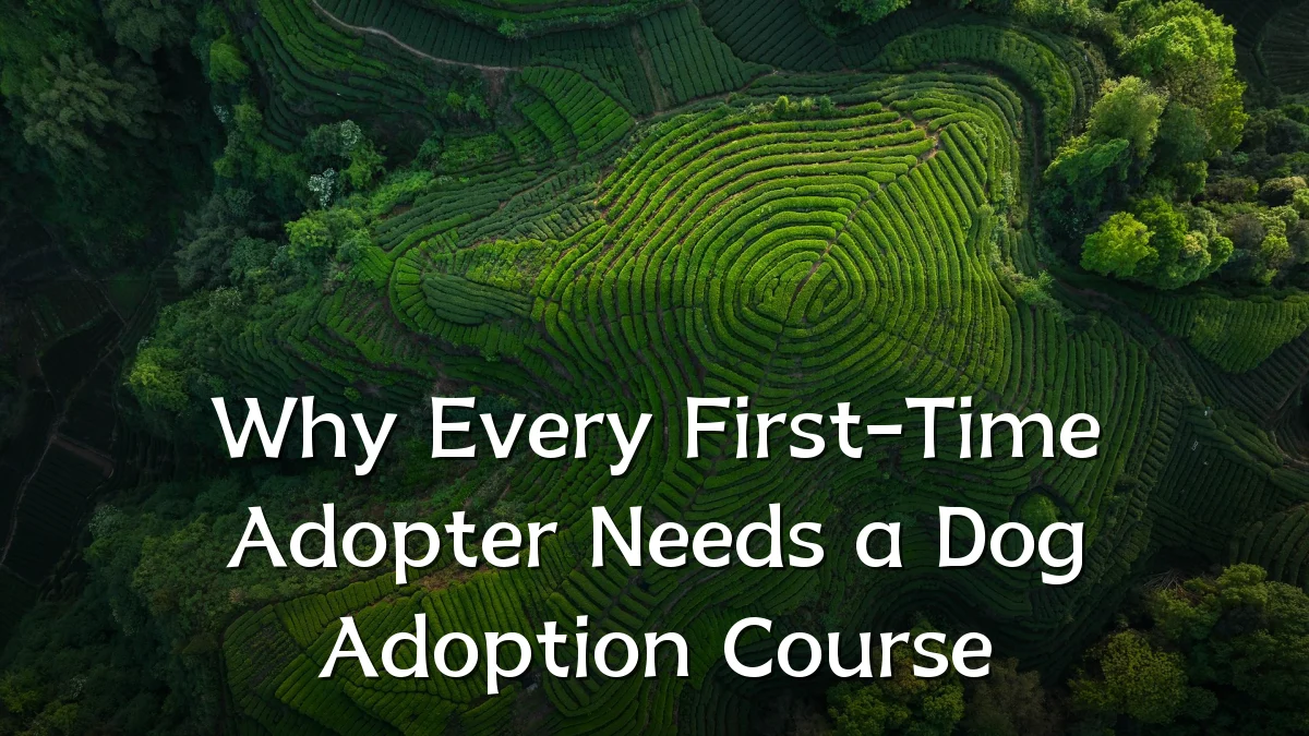 Why Every First-Time Adopter Needs a Dog Adoption Course