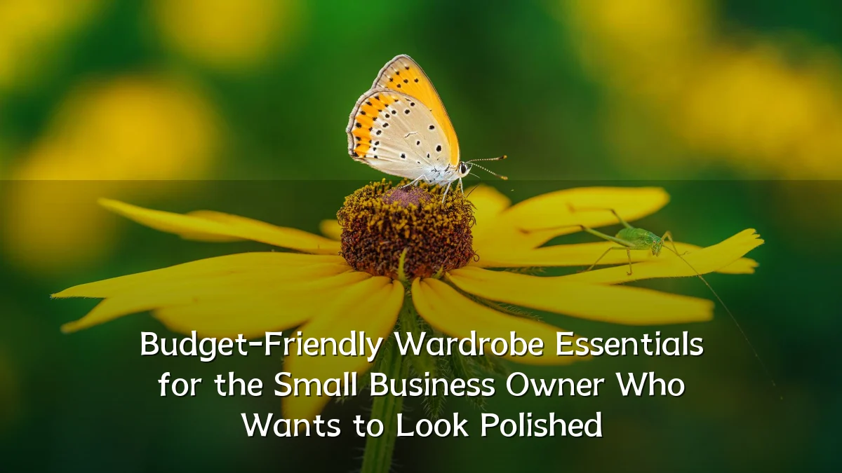 Budget-Friendly Wardrobe Essentials for the Small Business Owner Who Wants to Look Polished
