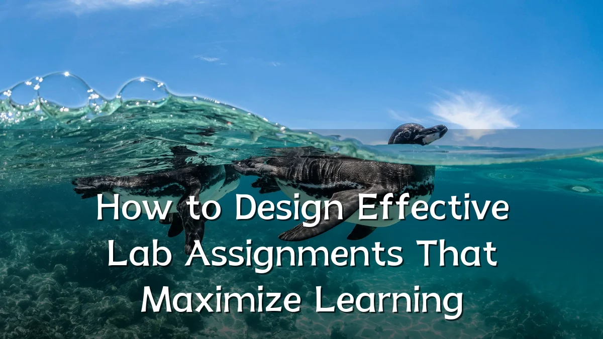 How to Design Effective Lab Assignments That Maximize Learning