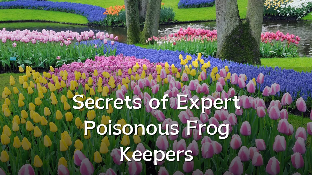 Secrets of Expert Poisonous Frog Keepers