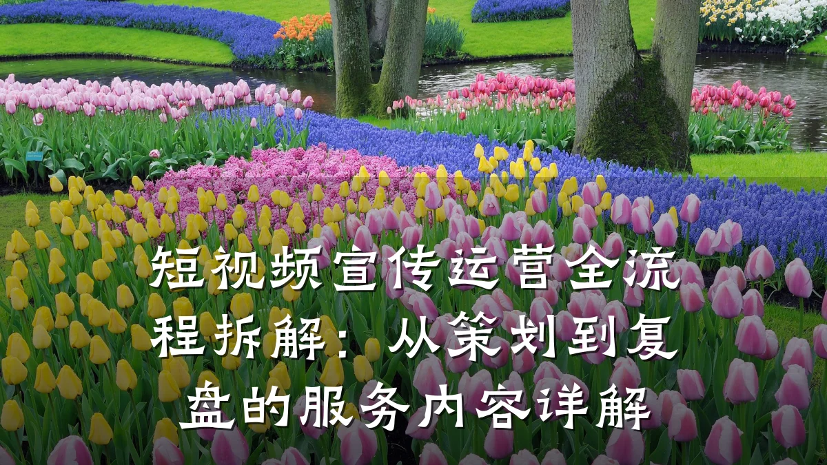短视频宣传运营全流程拆解：从策划到复盘的服务内容详解