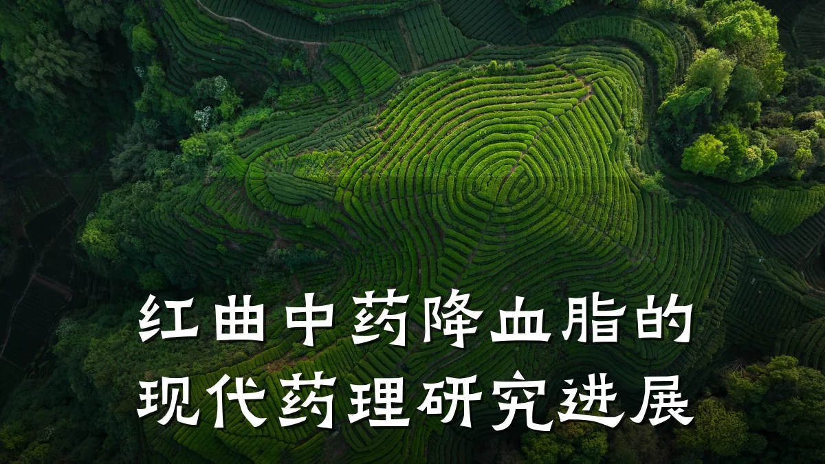 红曲中药降血脂的现代药理研究进展