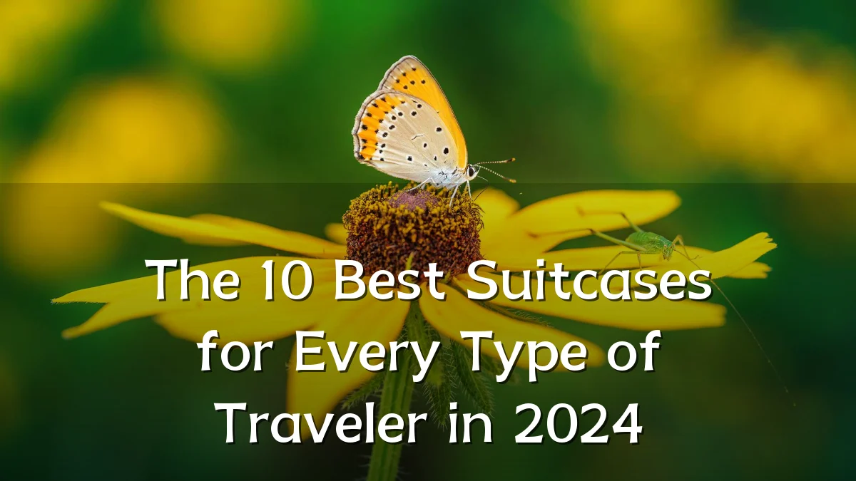 The 10 Best Suitcases for Every Type of Traveler in 2024