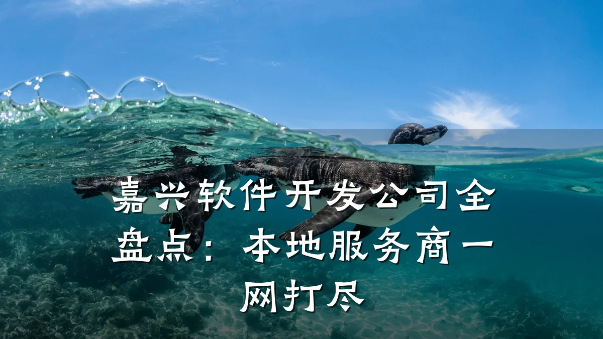 嘉兴软件开发公司全盘点：本地服务商一网打尽