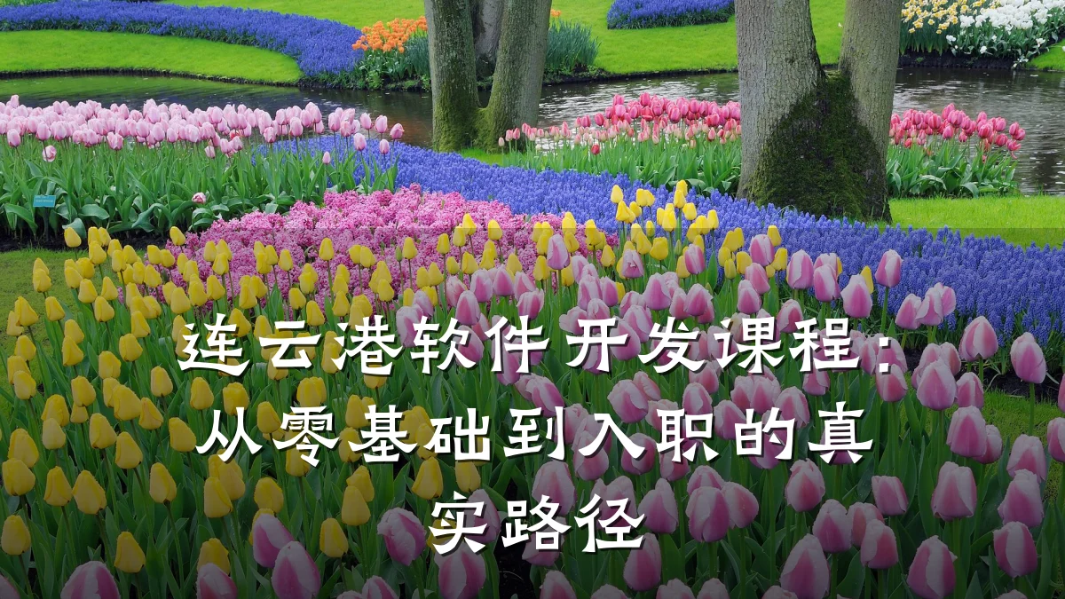 连云港软件开发课程：从零基础到入职的真实路径